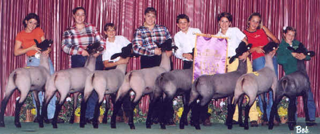 Winners